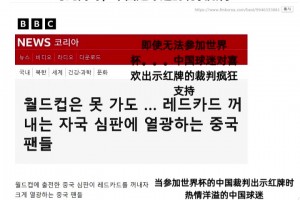韩国球迷嘲讽：与此同时，中国足球迷的现状如何？