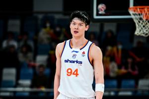 媒体人:32岁老将王哲林显露出超凡的求胜欲望,冠军属于他当之无愧