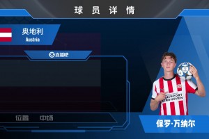 奥地利中场万纳尔集锦：拜仁青训出道 传球精准的全能中场