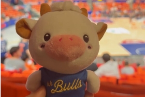 香港金牛队当家球星“La Bull Bull”将体验CBA总决赛的激烈氛围