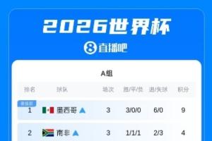 世界杯小组赛积分榜揭晓:巴德荷比西法阿英各小组头名晋级